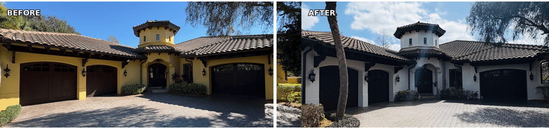 mustard yellow b&a