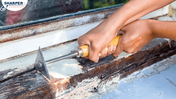 replacing-rotted-wood-why-replace-rotted-wood-before-painting-1.png