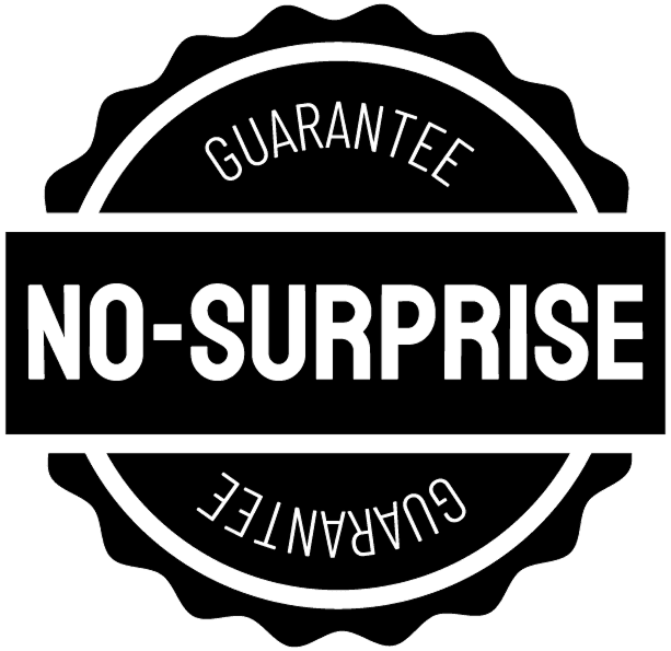 imgi_11_No_Surprise_B 1.png