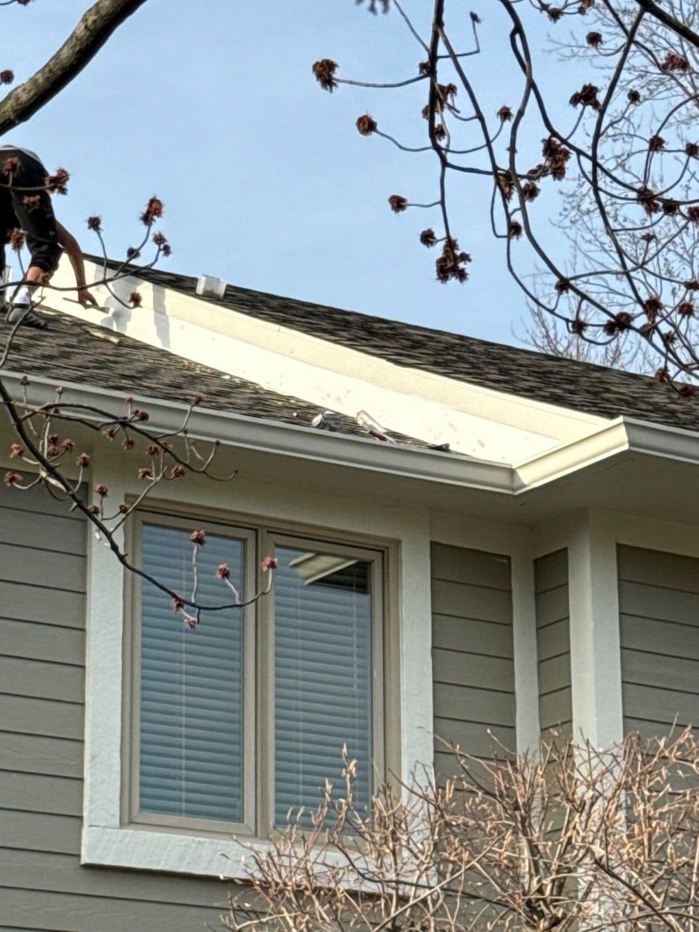 wood rot to pvc
