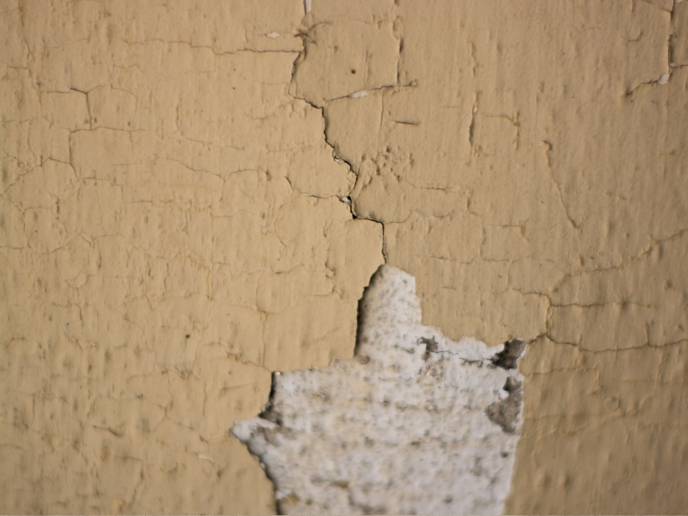 how to fix peeling paint