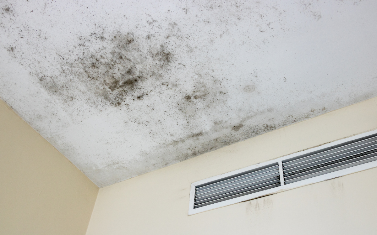 remove ceiling water stains