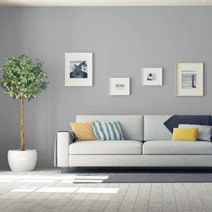 painting your living room gray